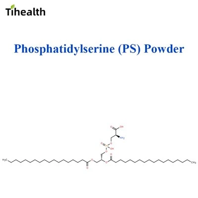 Phosphatidylserine (PS) Powder|Soya & Tounsòl Derive|CAS 51446-62-9